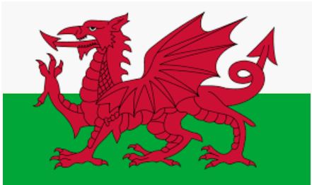 Champion Beer of Wales