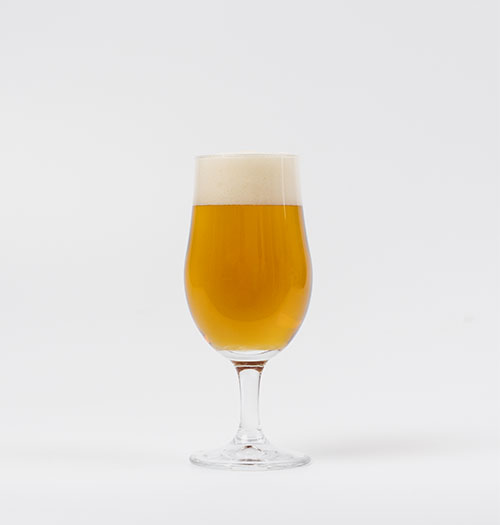 Premium Blond Ale